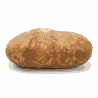 The People’s Potato